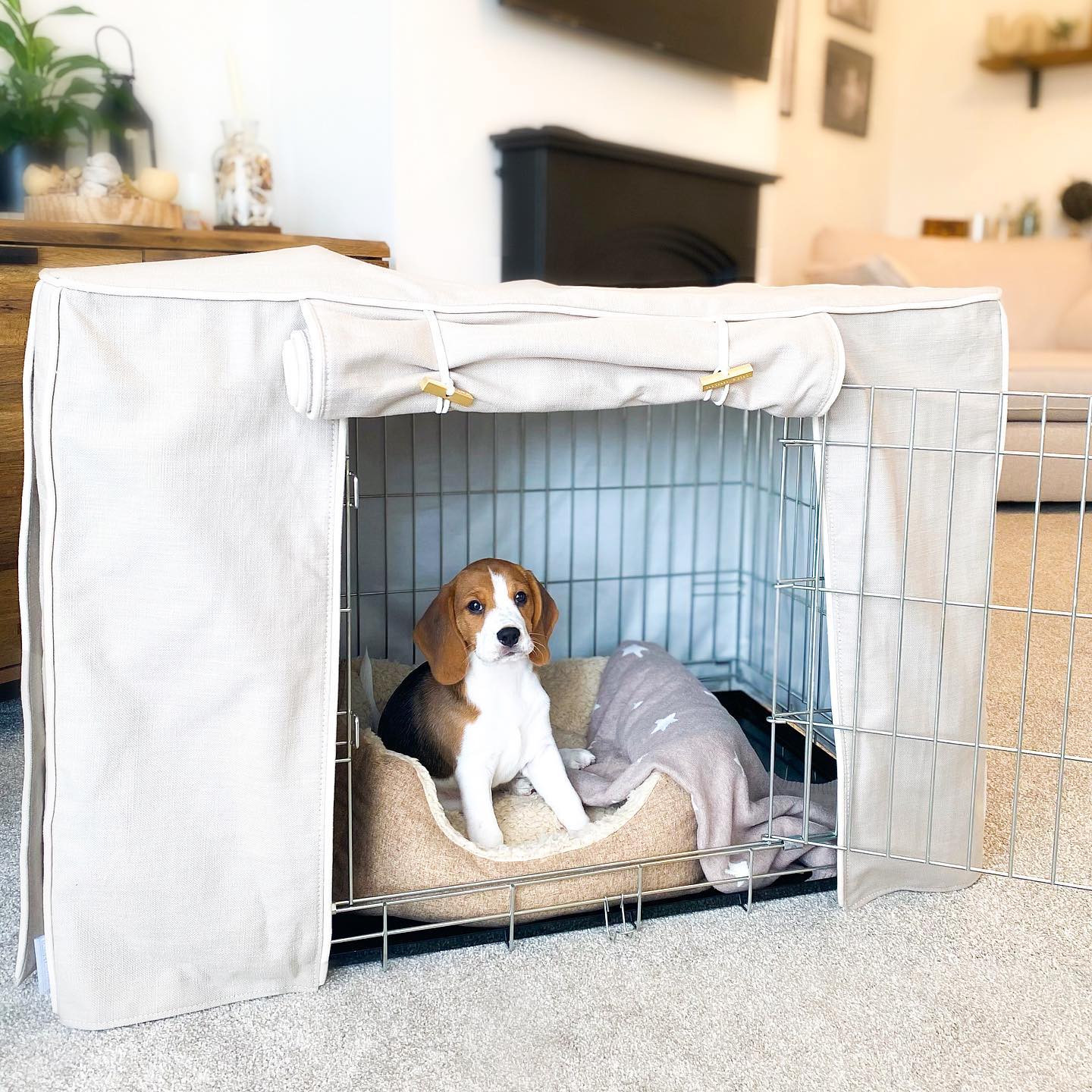 10 DIY Dog Crate Covers That Transform an Eyesore Into Home Decor ...