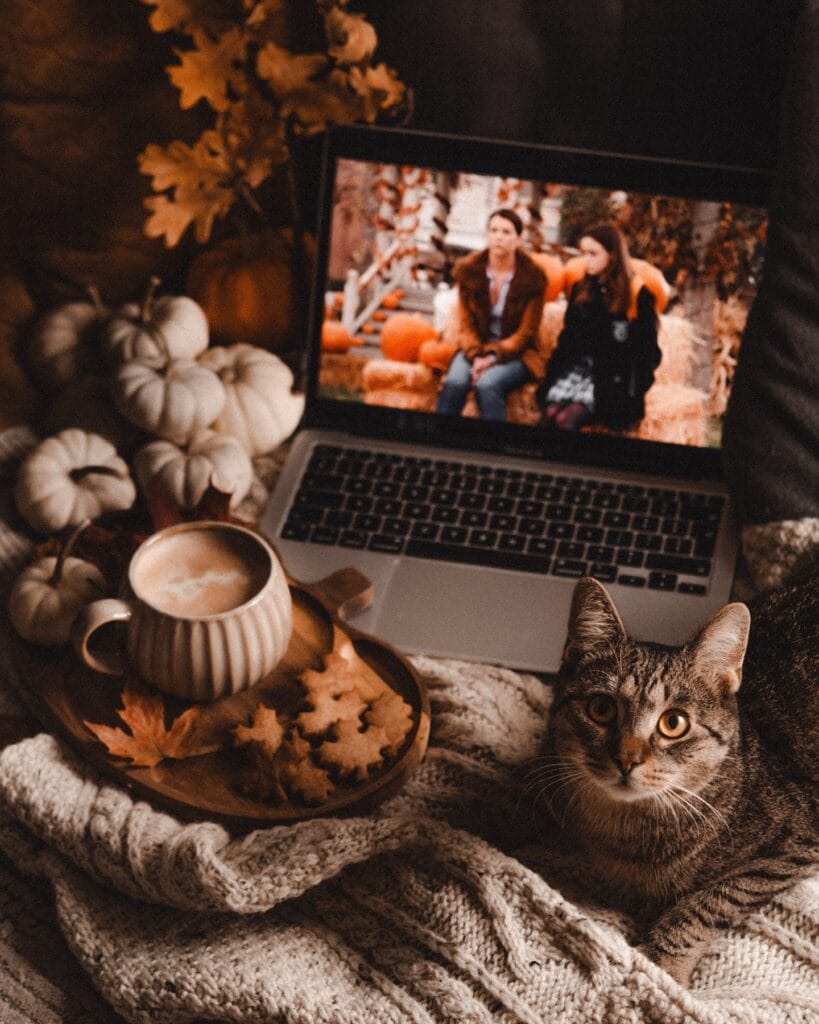 19 Cozy Outdoor Cat House Ideas for Every Season