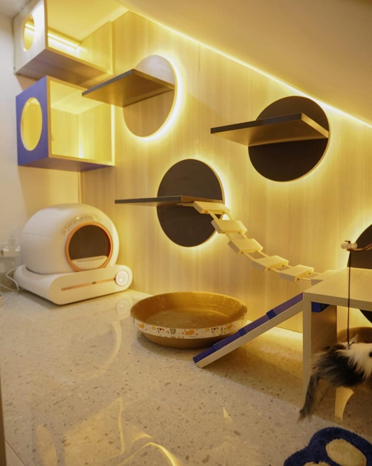 Your Cat Has Needs. These Room Decor Ideas Meet Both of Them - Animalsman