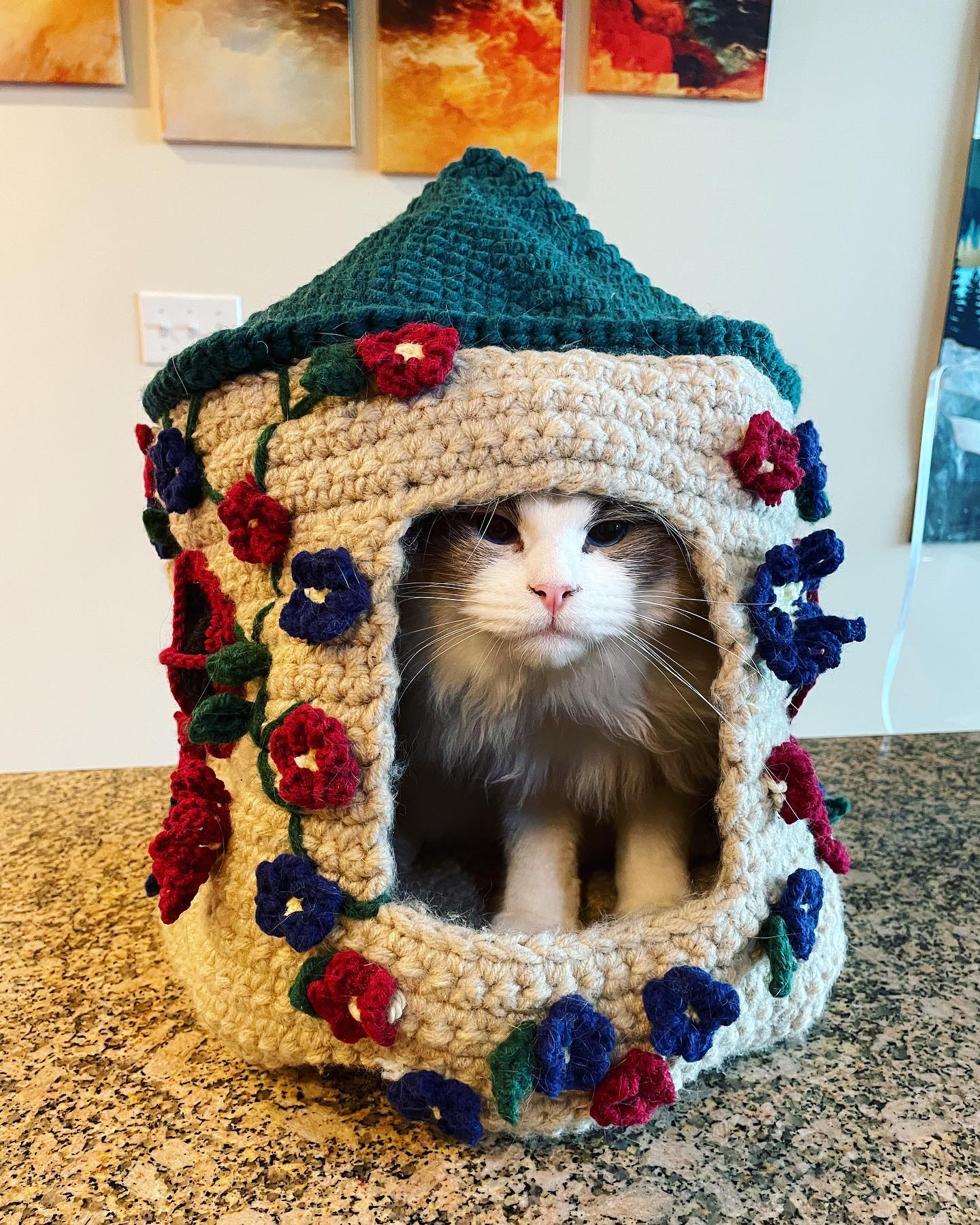 Crochet Cat House Patterns Your Cat Will Actually Use - Animalsman