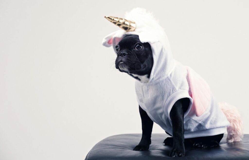 Cute French Bulldog dressed as a unicorn sitting on a leather stool. Perfect for playful pet-themed content.