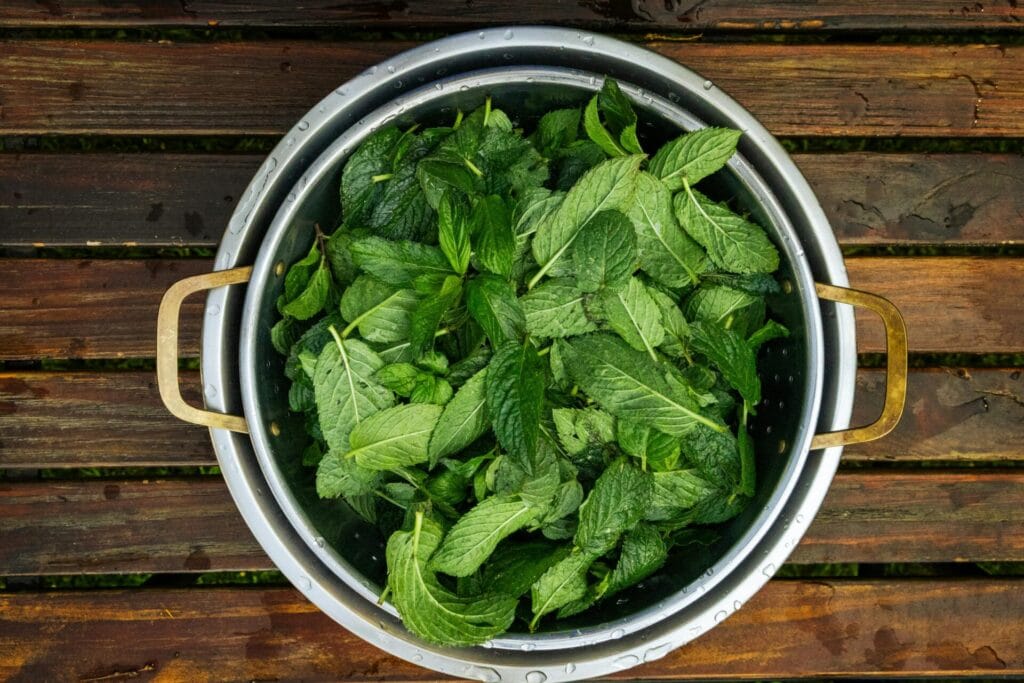A top-down view of fresh mint leaves in a colander on a wooden table, perfect for culinary and herbal themes.