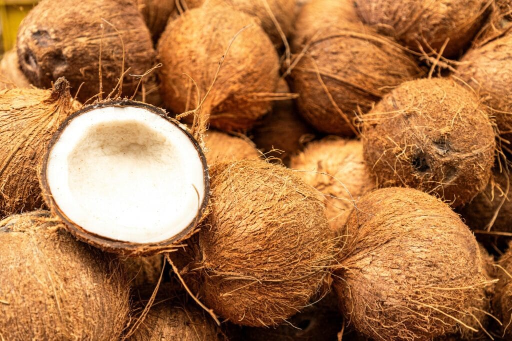 Heap of raw brown coconuts with a halved one showing the white flesh inside.