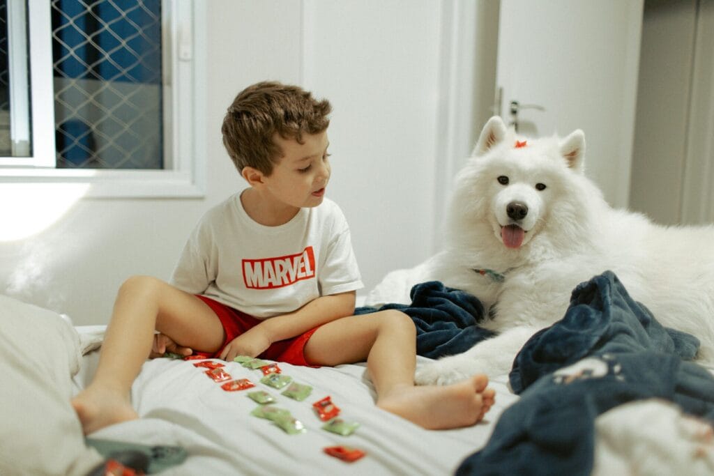 Young boy and fluffy Samoyed dog sitting on a bed, sharing a playful moment indoors.