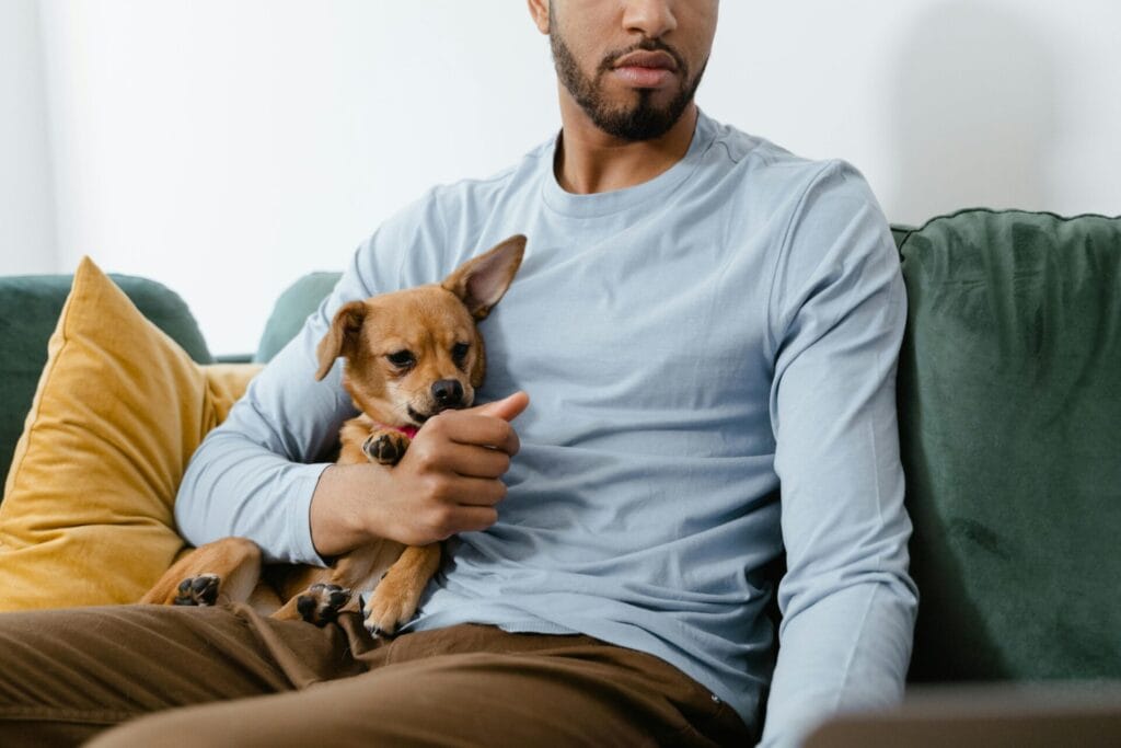 A man relaxes with his chihuahua on a colorful sofa, creating a warm domestic scene.