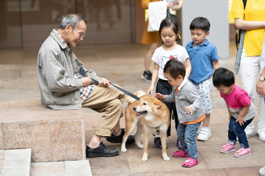 Children joyfully interacting with a friendly dog while an elderly man watches nearby.